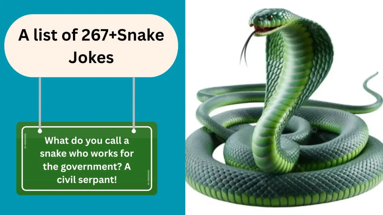 Snake Joke