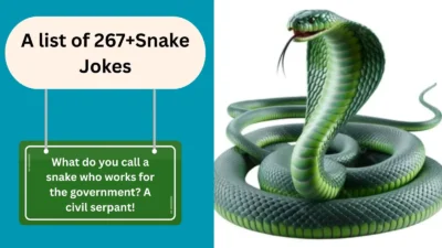 Snake Joke
