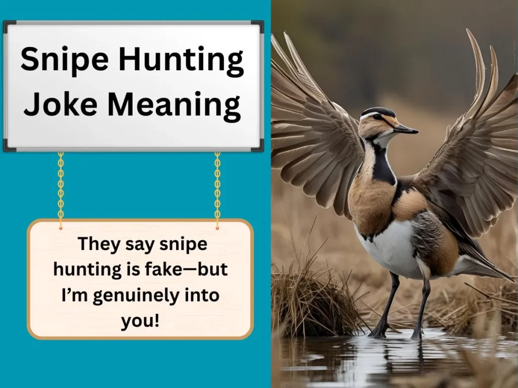 Snipe Hunting Joke Meaning