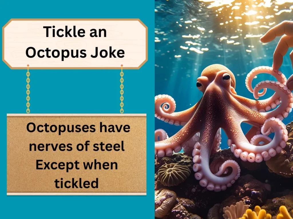 Tickle an Octopus Joke