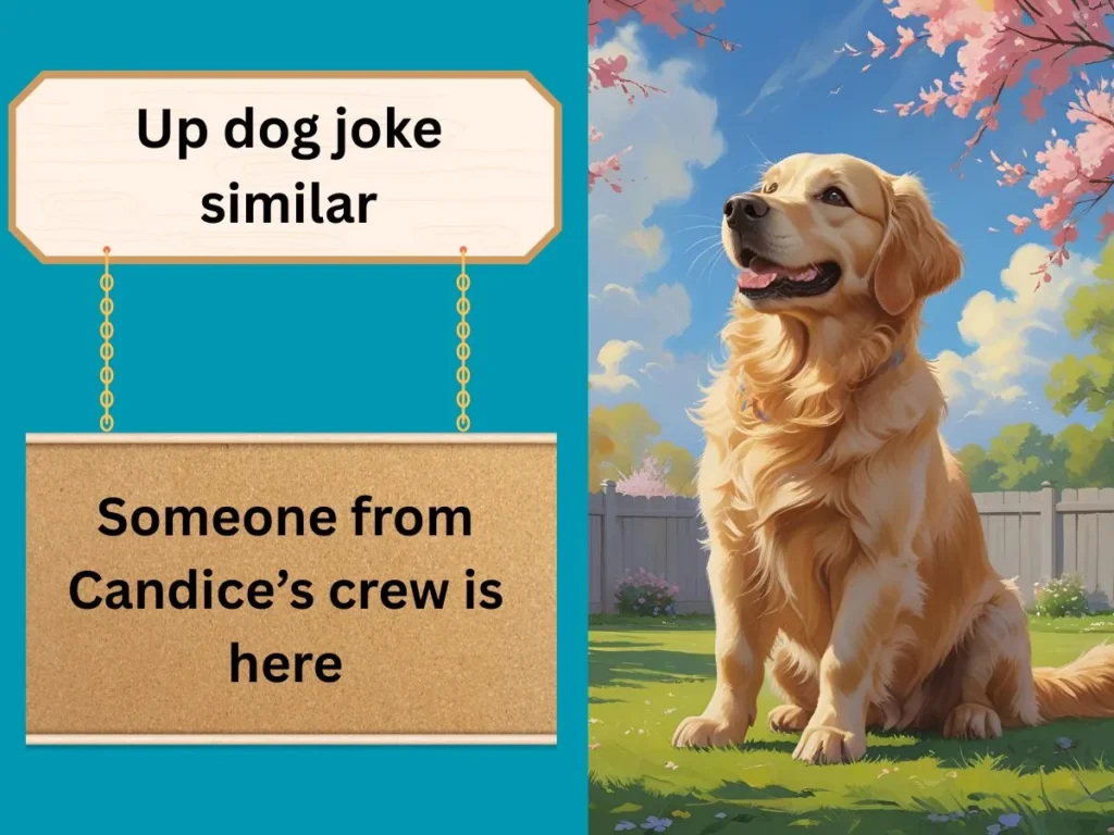 Up dog joke similar