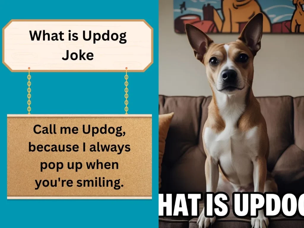 What is Updog Joke