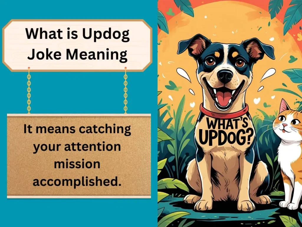 What is Updog Joke Meaning