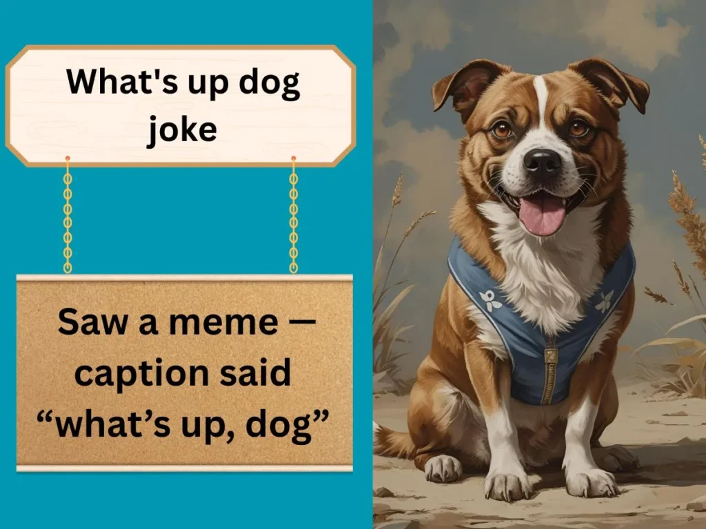 What's up dog joke