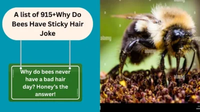 Why Do Bees Have Sticky Hair Joke