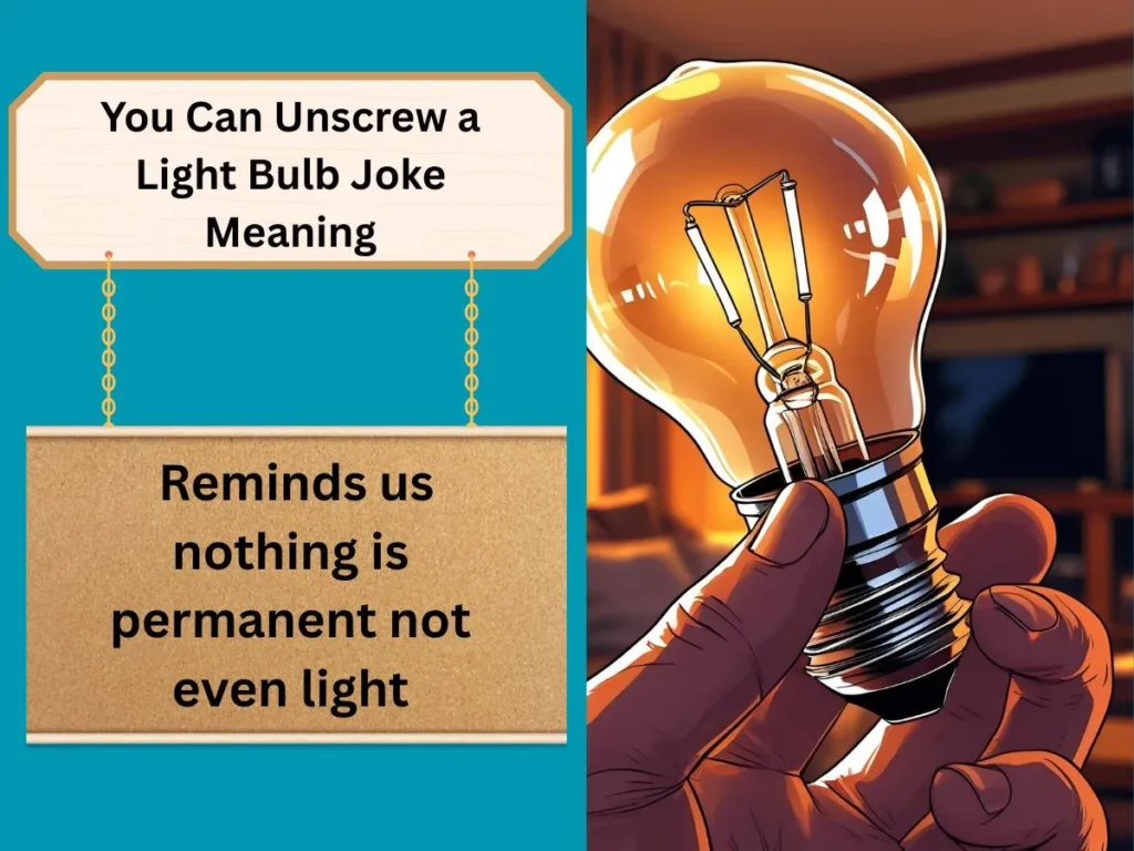 You Can Unscrew a Light Bulb Joke Meaning