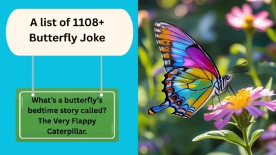 Butterfly Joke