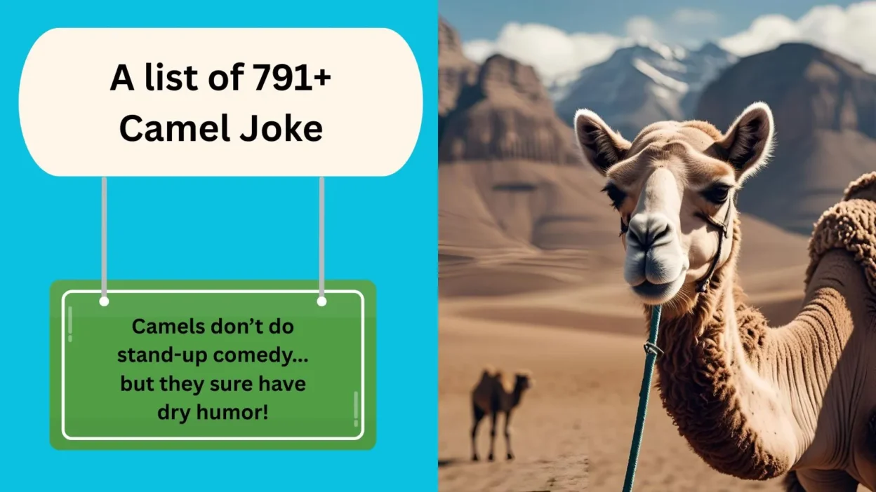 Camel Joke