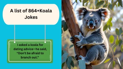 Koala Joke