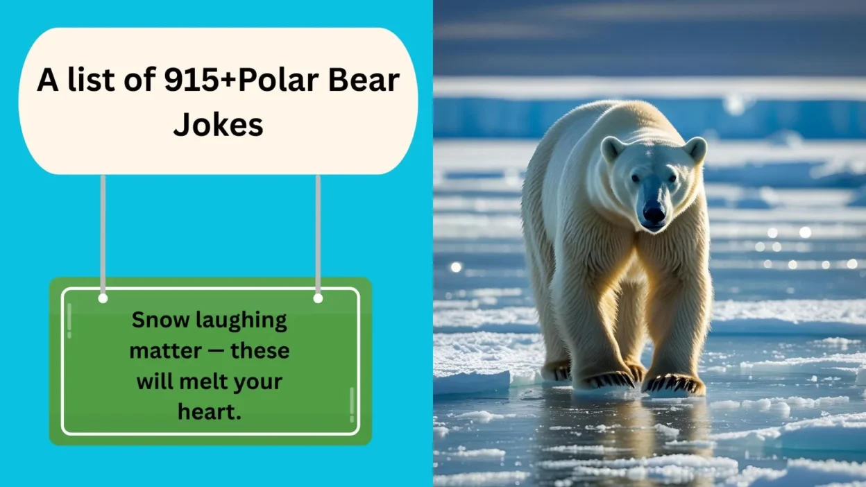 Polar Bear Joke