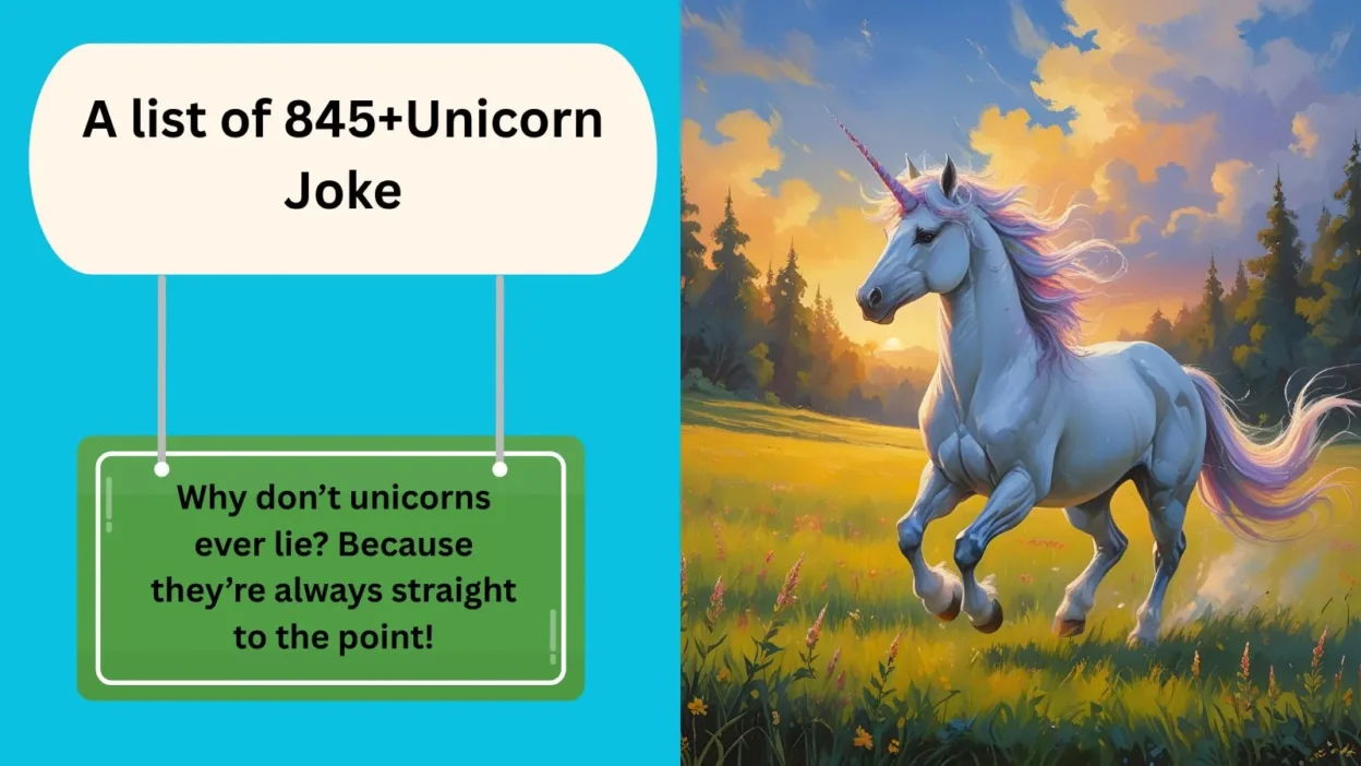 Unicorn Joke