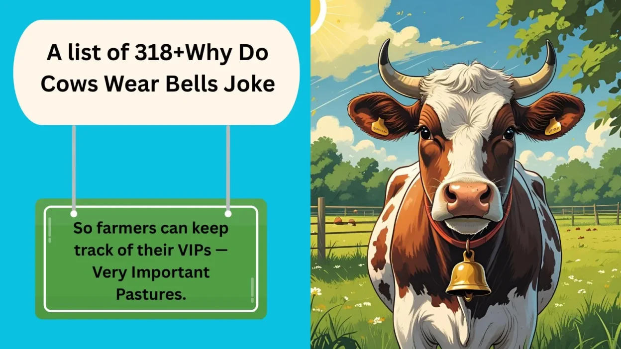 Why Do Cows Wear Bells Joke